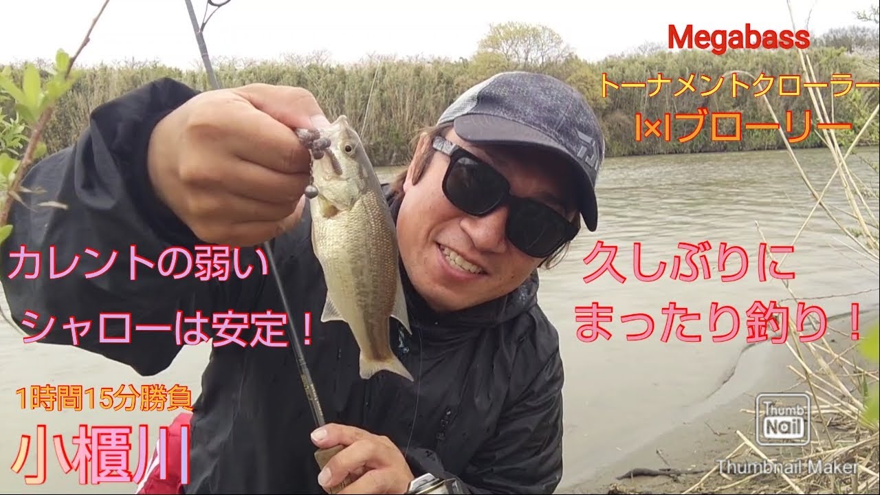 小櫃 川 バス 釣り
