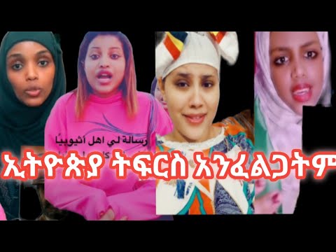 ቪዲዮ: አናቶ አቺዮቴ መረጃ፡ በአትክልቱ ውስጥ የአቺዮት ዛፍ እንዴት እንደሚበቅል