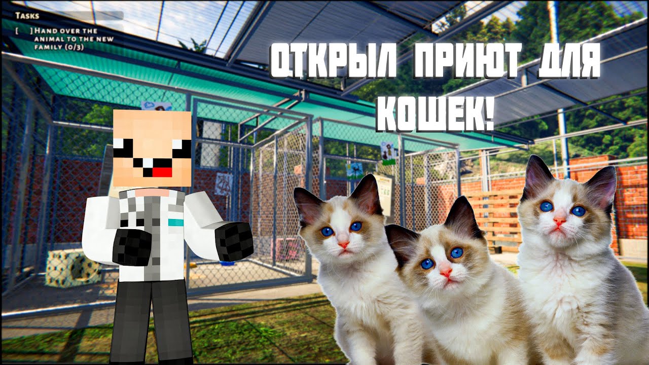🥳 ОТКРЫВАЮ ПРИЮТ ДЛЯ КОШЕК!! Animal Shelter - YouTube