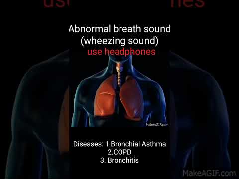 Wheezing/abnormal breath sound/Asthma/COPD/Bronchitis/How to different wheezing sound#Med school way