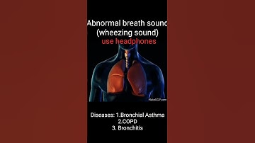 Wheezing/abnormal breath sound/Asthma/COPD/Bronchitis/How to different wheezing sound#Med school way