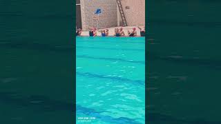 Learning breaststroke kick #swimming #learningswimming #summerfun #sports #shortsfeed #shorts