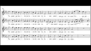 Palestrina: Alma Redemptoris Mater - Tallis Scholars
