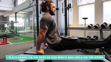 How To Do Weighted Bench Dips | Exercise Demo