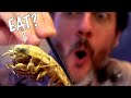 I ate giant isopod@ Japan's Most Exotic Restaurant (with Maggots/Sparrows/Bears)
