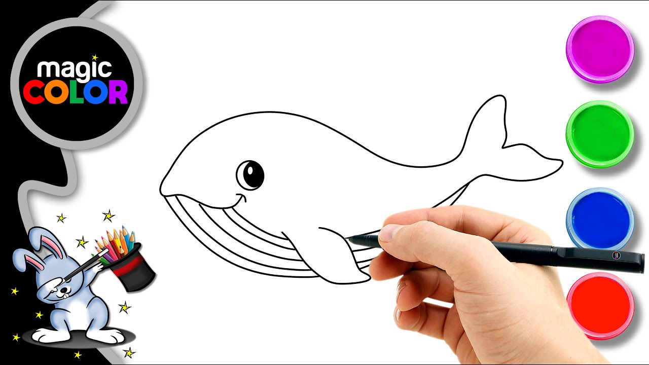 How to draw Whale - Easy Draw Magic Color for kids - Magic Color - Whale.