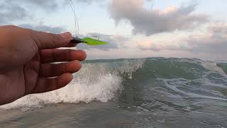 SEÑUELO SUPER EFECTIVO pesca de paletas en playa ponce LA PUNTILLA en culiacan sinaloa Argfishing .