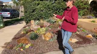 Succulent Front Yard Grand Reveal with Laura Eubanks Plus Irrigation Tips