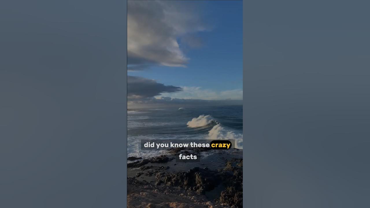 5 MindBlowing Facts You Won’t Believe! 🤯 YouTube 5 MindBlowing Facts You Won’t Believe! 🤯 YouTube
