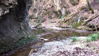 Rio dell'Acqua Caduta - Cimano - 30.1.2012