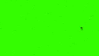 Swarm Of Flies - Green Screen Animation