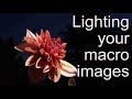 Lighting your macro images