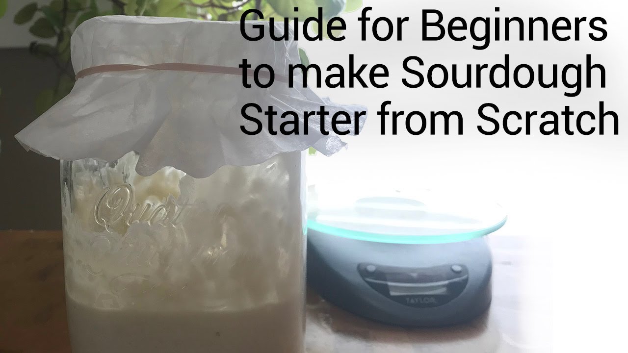 How to create a sourdough starter from scratch – Sourdough Supplies