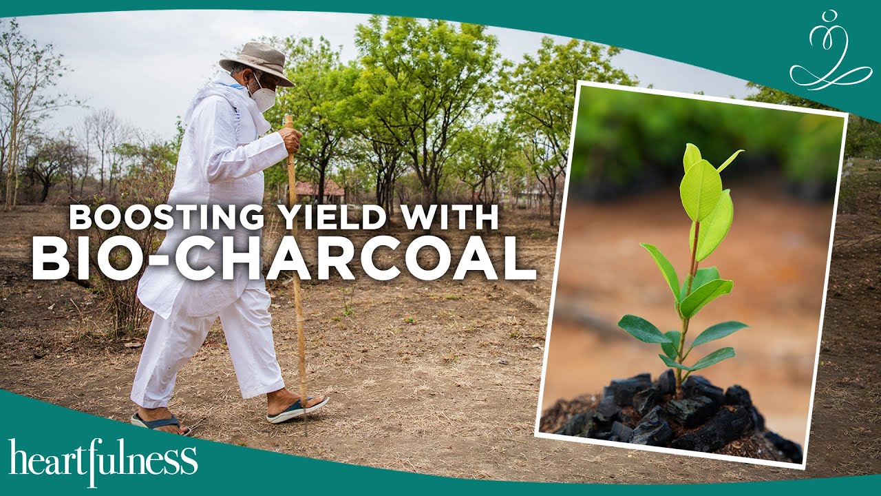 Power of Charcoal | Innovations in Agriculture | Modern Farming ...