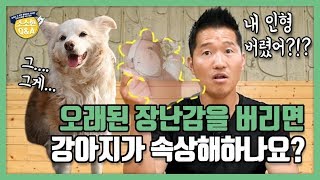 [Eng sub] 오래된 장난감을 버리면 강아지가 속상해하나요?｜강형욱의 소소한 Q&A