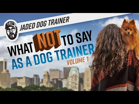 Video: Tanya Seorang Jurulatih Anjing: Mengapa Anjing Saya Memberi Saya 