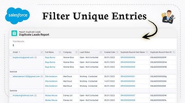 Salesforceレポートで重複データを削除する方法