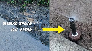 Replace shrub spray on riser with a popup on a swing arm #Shorts