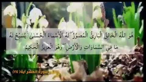 آياتٌ مختارةٌ مِن الذِّكرِ الحَكِيم سورةُ الحَشر (الآية ٢٤)#أهل_القرآن_الأبرار