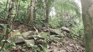 Riyadh Hakim On The Santa Cruz Hightower Cc Singapore Bukit Timah Mtb Trail