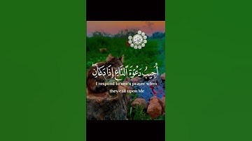 قرآن كريم ❤️ #اكسبلور #لايك #تيك_توك #explore