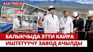 Балыкчыда этти кайра иштетүүчү завод ачылды