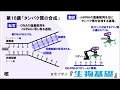 【高校講座 生物基礎】第16講「タンパク質の合成」
