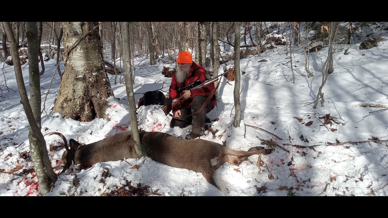 200 Pound Vermont Buck Tracking 2023 YouTube