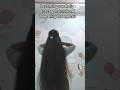 Best Hair Growth Shampoo 😳 |Long Strong Hair #shorts #viral #youtubeshorts#hairgrowth #Vasunaveenasr