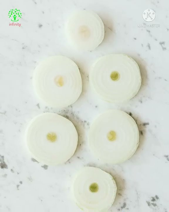 in-what-cases-does-eating-onions-have-side-effects-youtube