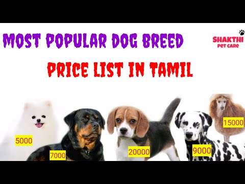 puppy price list