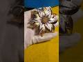 Yellow & White Gold flower Brooch Vintage 1960s-70s Celebrity N.Y. #jewelry #vintagecouture