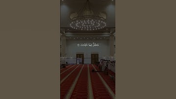 سورة الأنبياء - القارئ ماجد الحازمي