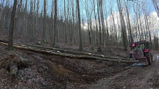 картинка: Вырубка склона и выдергивание деревьев из ручья, Амлес, MS 361, Зетор, Работа в лесу