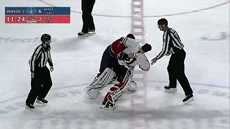 Hockey Goalie Fights