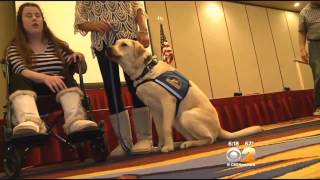 Service Dogs 'Graduate' From Canine Companions' Training Program