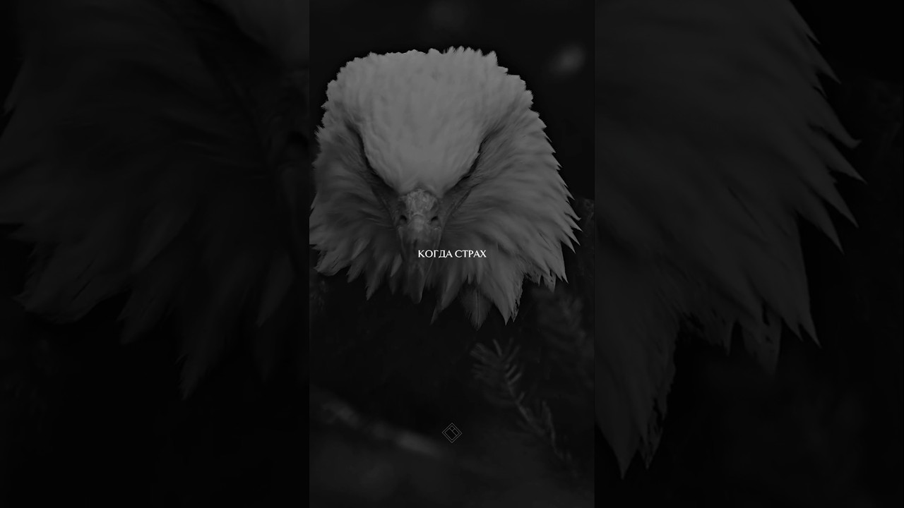 Помни, что рассвет близок. Продолжай двигаться. #undivictus