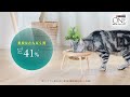 \たんぱく、たんぱく♪/猫ちゃんが夢中のヒミツ!「ピュリナ ワン」 高たんぱくシリーズ