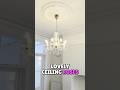Explore the Elegance of Victorian Reception Rooms #shorts