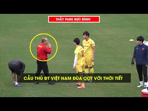 Video HLV Park Hang-seo bực mình vì Công Phượng, Quế Ngọc... - youtube