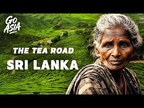 SRI LANKA:  Inside Tea’s Empire - Documentary - AMP