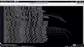 Web Reconnaissance Framework Recon-Ng (Cybersecurity)
