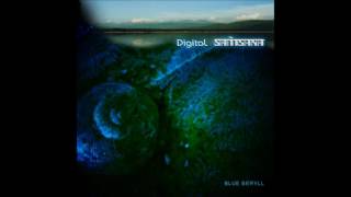 Digital Samsara - Beyond Concept  ( 2006 )