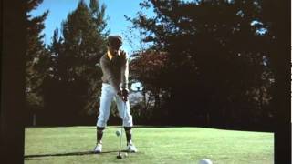 The White Shadow Golfing