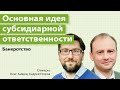 Основная идея и деликтный характер субсидиарной ответственности при банкротстве