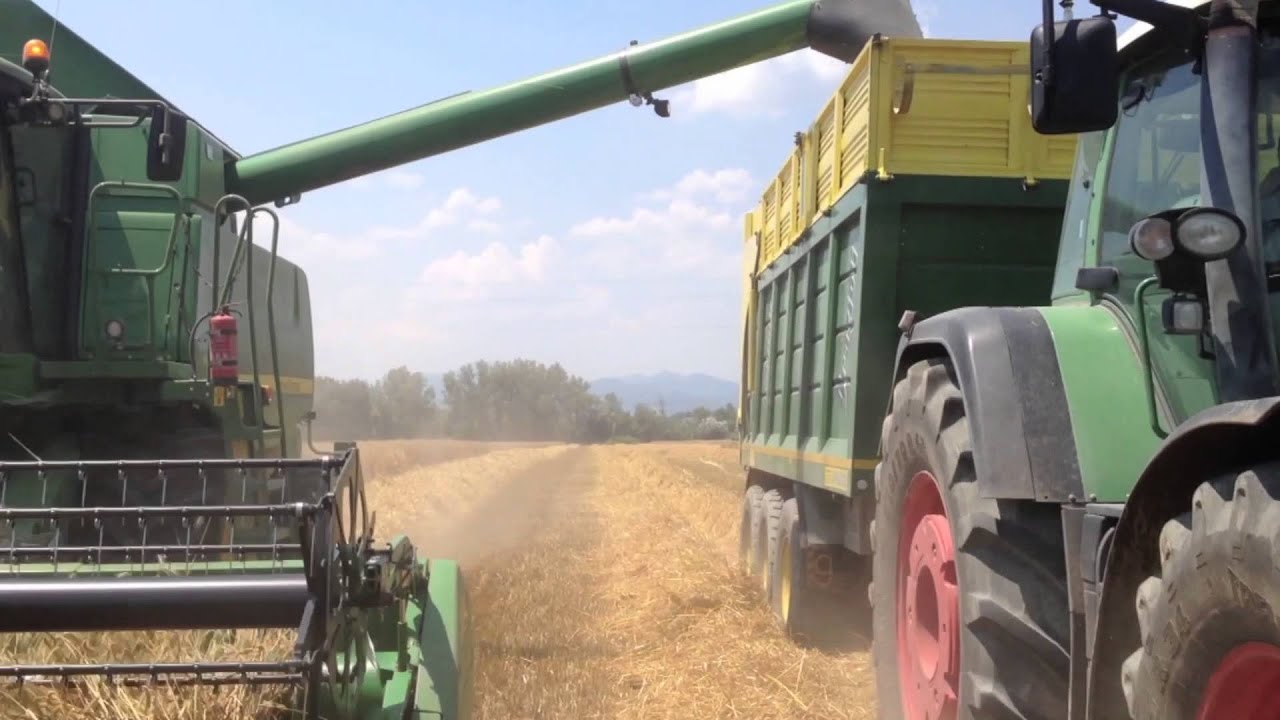 Agricola Vitale - Torcino (Ciorlano - CE)