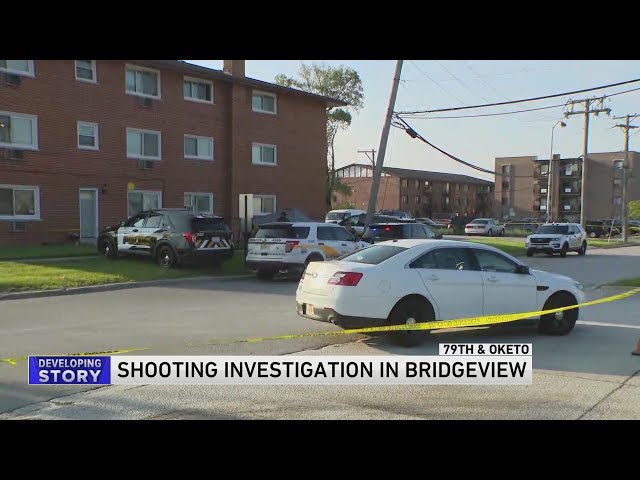 Man shot and killed outside apartment building in Bridgeview: police class=