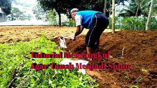 Tutorial Mencangkul Agar Tanah Menjadi Subur,  Tips dan Trik Rahasia