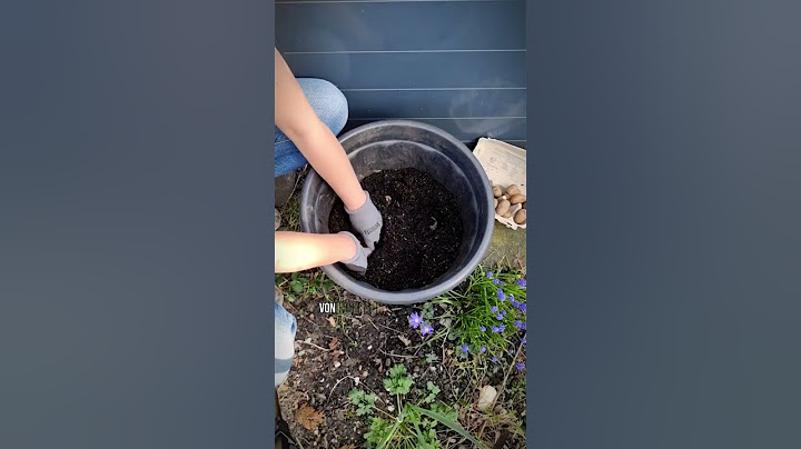 Kartoffeln im Kübel anbauen - so einfach kann man Kartoffeln ernten! #garten #selbstversorger #g