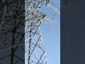 Conductor Pulling Overhead Transmission Lines #transmissionline #project #stringing #foryou